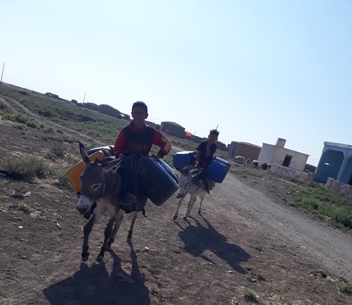 سفانة نموذج لشح مياه الشرب جنوب القامشلي