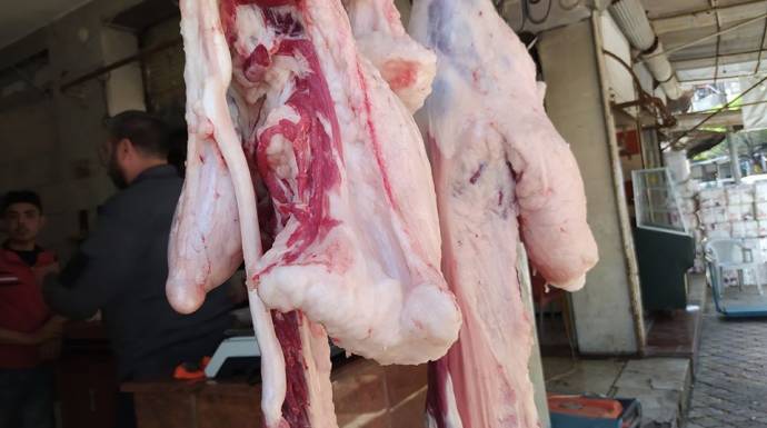 رصد لأسعار اللحوم بأنواعها في دمشق