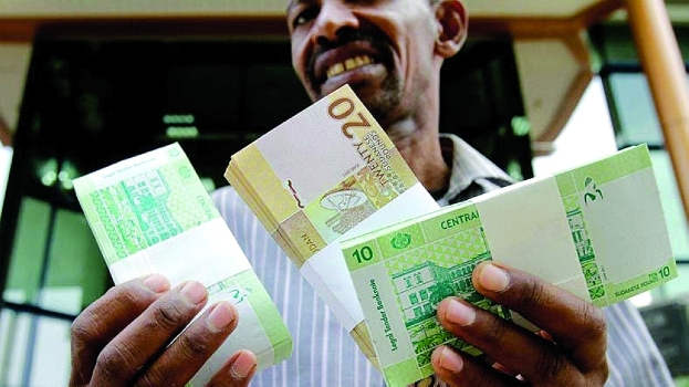 السودان.. المركزي يعلن تعويم سعر صرف الجنيه
