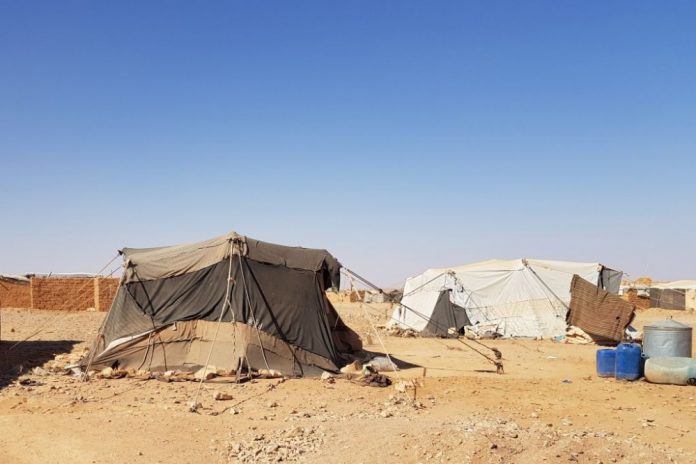 أبناء عشائر تدمر والبادية يردون على ادعاءات الروس بشأن الركبان