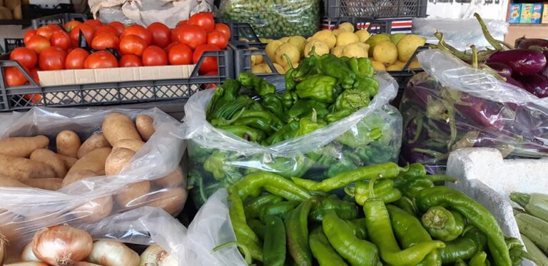 رصد لأسعار الخضار والفواكه في أسواق دمشق