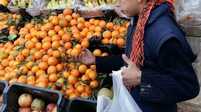 رصد لأسعار الخضروات والفواكه في حمص